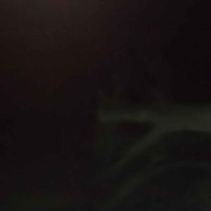 blame (feat. jvnksie) (Explicit)