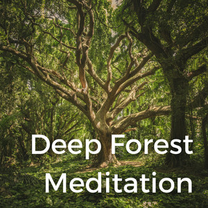 Deep Forest Meditation