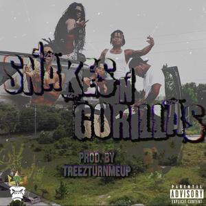 Snakes N Gorillas (feat. Quisey Money, Big ChrisRadd & Ly4rmdavalley) [Explicit]