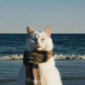 Chẳng Thể Cảm Hoá x Lệ Ngang Trời 2025 - MH Mix