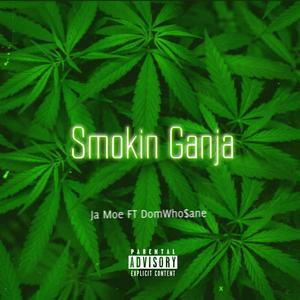 Smokin Ganja (Explicit)