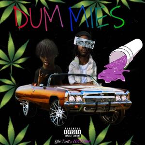 Dummies (feat. W.S.S Raid) [Explicit]