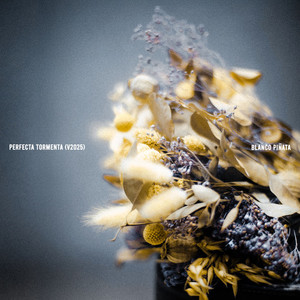 Perfecta Tormenta (versión 2025)