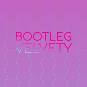 Bootleg Velvety