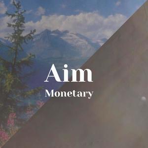 Aim Monetary