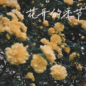 花开的季节