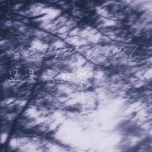 Sorry,还是没能够