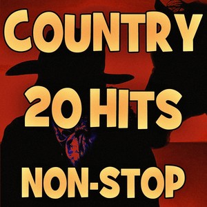 Country 20 Hits (Non-Stop)