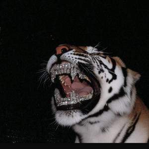 Splash Bros (feat. Baabypski) (Explicit)