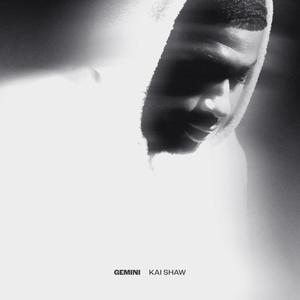 Gemini (Explicit)