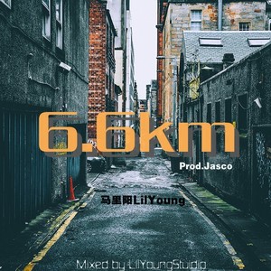 6.6km