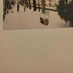 The Fire's Not Out (feat. Sarah Roberts)