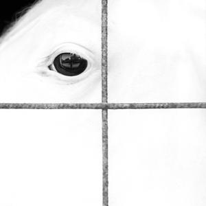 Vivere Gratis (Explicit)