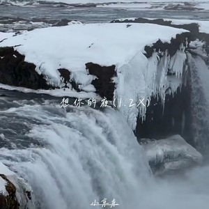 想你的夜 (1.2X)-小京东