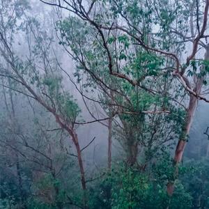 oq poderia ser (feat. XvNd) (Explicit)