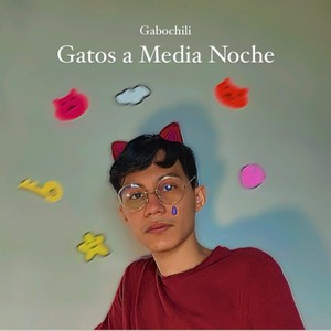 Gatos a Media Noche