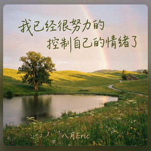 我已经很努力的控制自己的情绪了