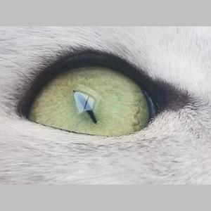 梦寐以求prod by 悟净