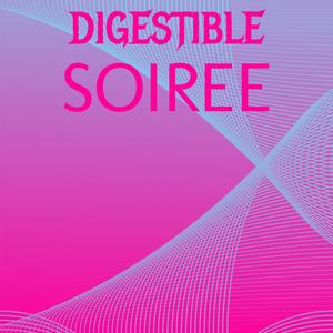 Digestible Soiree