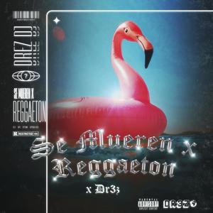 SE MUEREN X REGGAETON (Explicit)