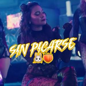 SIN PICARSE