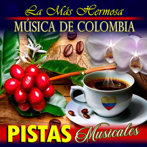 La Más Hermosa Música De Colombia Pistas Musicales