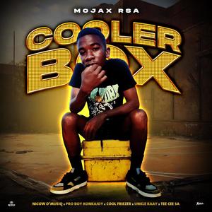 Cooler Box (feat. Nicow D'Musiq, Pro Boy Konkajoy, Cool Friezer, Unkle Kaay & Tee Cee SA)