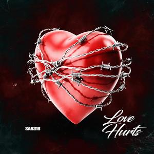 LOVE HURTS (Radio Edit)