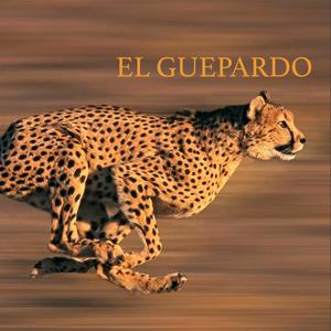 EL GUEPARDO (Explicit)