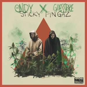 Sticky Fingaz (Explicit)