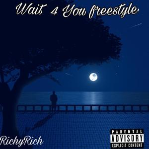 Wait for you freestyle (Explicit)