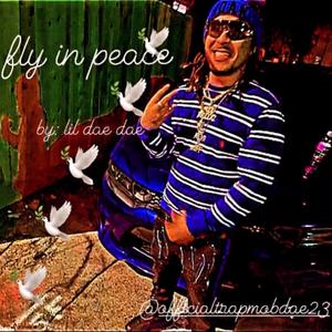 Fly In Peace (feat. Lil Dae Dae) [Explicit]