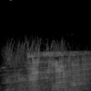 i don';t know anymore