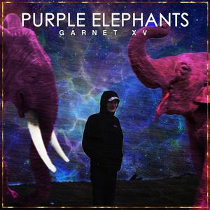 Purple Elephants