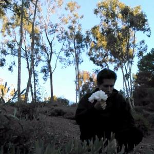 DUMMY (Remix|Explicit)