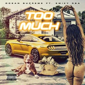 TOO MUCH (feat. Emiky RSA) (Explicit)