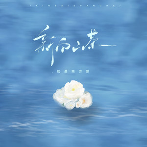 就是南方凯 - 新白山茶 (伴奏)