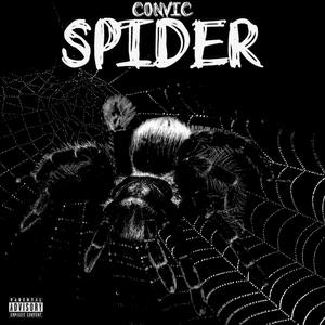Spider (Explicit)