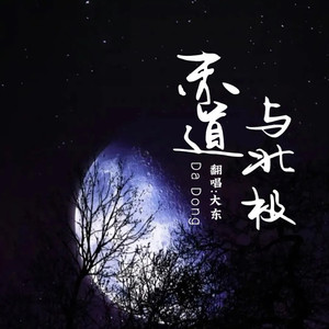 赤道与北极 (Demo)