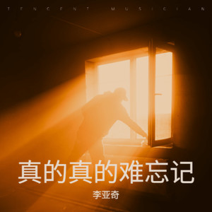 真的真的难忘记 (遗憾版)