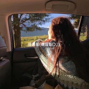 珠满摇 (慢摇版DJ)