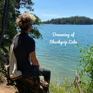 Dreaming of Sharkgrip Lake