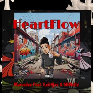 HeartFlow (Explicit)