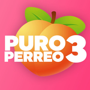 Puro perreo 3