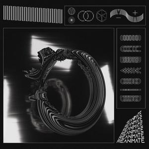 Reanimate(feat. Metehan Tunçbilek) (Single Version)