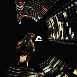 Night Hawk (feat. Evil ****) (Explicit)