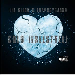 Cold (feat. TrapBoyCJ800) (Freestyle) (Explicit)