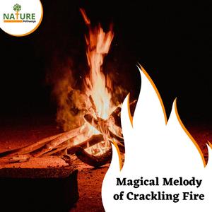 Magical Melody of Crackling Fire