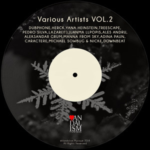 Various Artists, Vol. 2