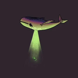 il tempo vola (Explicit)